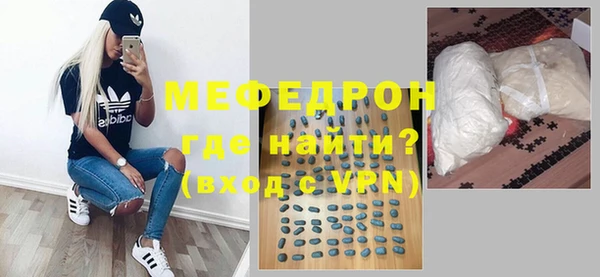 индика Вяземский