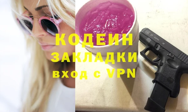 индика Вяземский