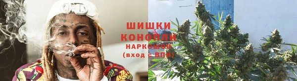 индика Вяземский