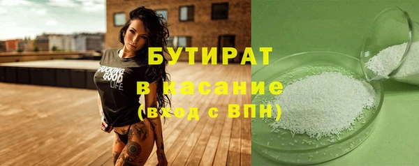 индика Вяземский
