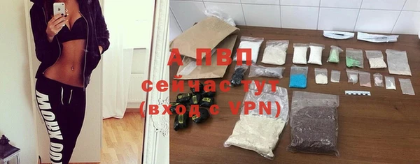 сатива Вязьма