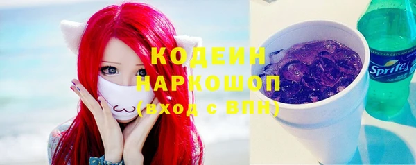 сатива Вязьма