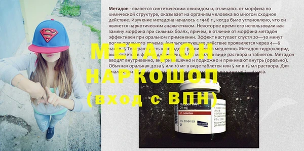 индика Вяземский