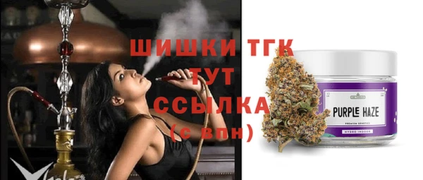 сатива Вязьма
