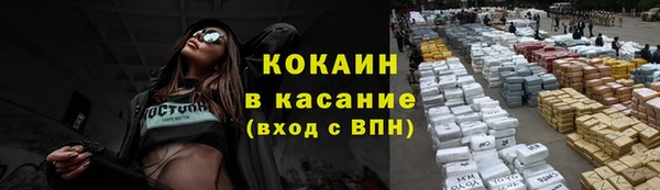 сатива Вязьма