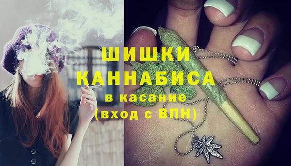 индика Вяземский