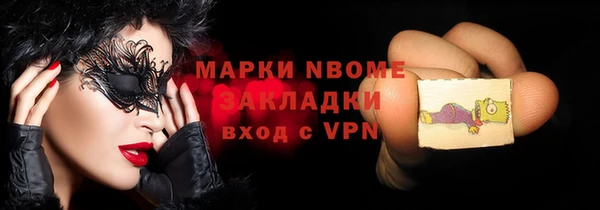 индика Вяземский