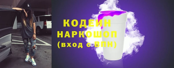 индика Вяземский