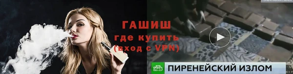 индика Вяземский