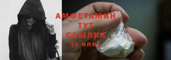 сатива Вязьма