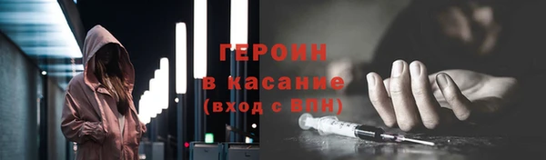 индика Вяземский
