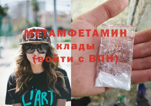индика Вяземский