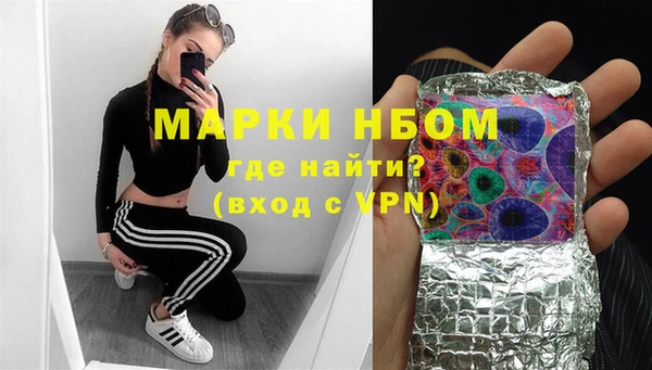 сатива Вязьма