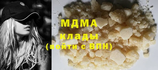 индика Вяземский