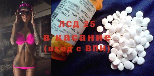 индика Вяземский