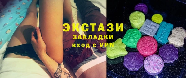 индика Вяземский