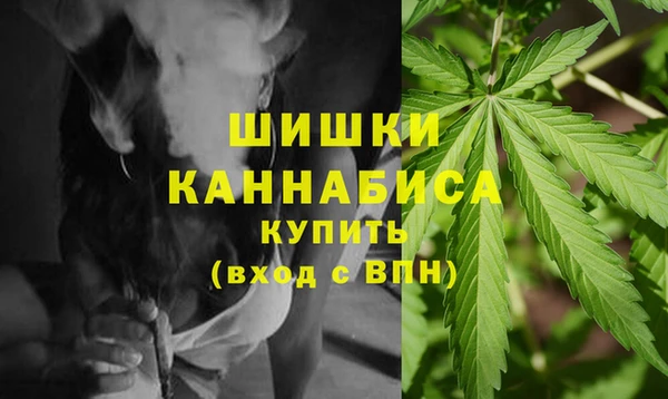 сатива Вязьма