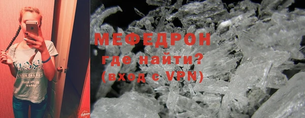 индика Вяземский