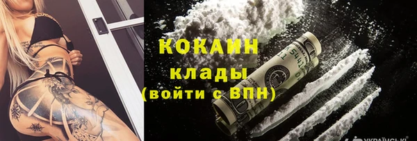 индика Вяземский