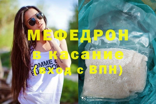 индика Вяземский