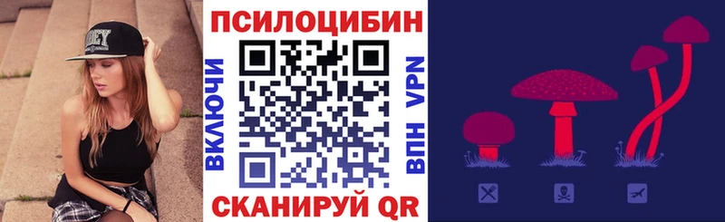 Галлюциногенные грибы мицелий  как найти наркотики  Вологда 
